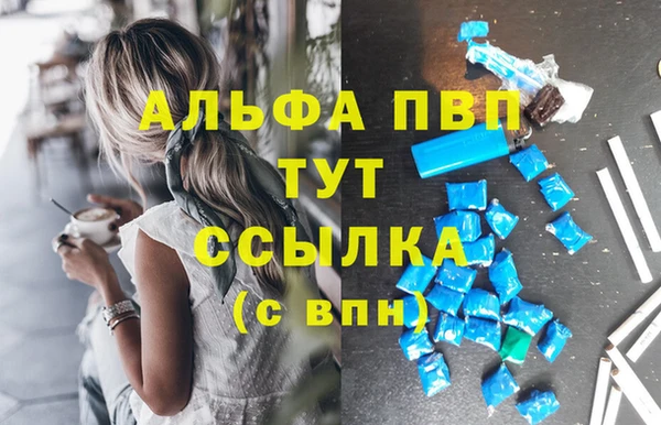 спиды Абаза