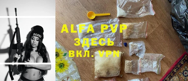 прущие грибы Абдулино